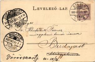 1900 Szeged, látkép, Lukács Mór, Weiner Antal, Schlesinger Mór, Mayer Ferdinánd és Fia üzlete. Römml...