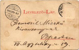 1899 Szeged, Széchenyi tér, MÁV palotája, főgimnázium. Endrenyi Imre kiadása Nr. 1049. Art Nouveau, ...