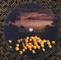 Hegedűs 2 László (1950-): Vadkörték A (művészlemez). Bakelit lemez, nyomat. Jelzett Hegedűs 2 László...