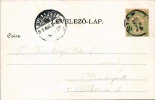 1902 Siófok, Hullám és Sió szállodák (EK)