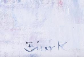 Biró Konrád (1967-): Női arc. Olaj, vászon, kartonon, jelezve jobbra lent. Fakeretben, 24×18 cm