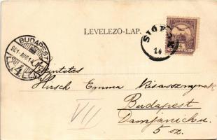 1901 Siófok, Sió és Hullám szállodás a sétánnyal. Schwarcz Bernát kiadása (EB)