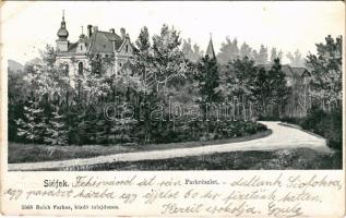 Siófok, parkrészlet. Reich Farkas kiadása (apró szakadások / tiny tears)