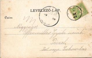 Siófok, parkrészlet. Reich Farkas kiadása (apró szakadások / tiny tears)