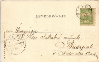 1905 Siófok, Sió részlet, híd. M. T. és F. I. Koch Willy kiadása (EK)