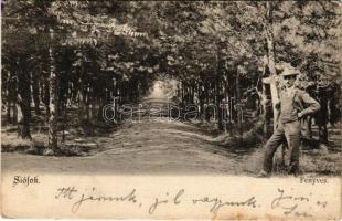 1906 Siófok, fenyves. Kapható Klein Ignácnál (EK)