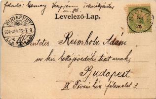 1904 Siófok, Balaton parti villasor fürdőkabinokkal. Hirsch Mór kiadása