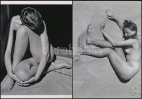 1936 Edward Weston (1886-1958) amerikai fotóművész felvételei, 2 db modern nagyítás, jelzés nélkül, 21x15 cm és 15x21 cm