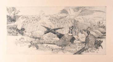 Pásztor Gábor (1933-2012): Fácánok. Rézkarc, papír, jelzett, kartonra kasírozva, 29,5×60 cm