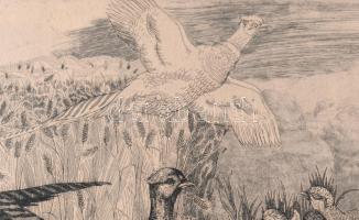 Pásztor Gábor (1933-2012): Fácánok. Rézkarc, papír, jelzett, kartonra kasírozva, 29,5×60 cm