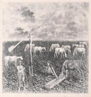 Gacs Gábor (1930-2019): Lovak a pusztán. Rézkarc, papír, jelzett, művészpéldány E.A. jelzéssel, paszpartuban, 29,5×28,5 cm