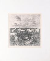 Gacs Gábor (1930-2019): Lovak a pusztán. Rézkarc, papír, jelzett, művészpéldány E.A. jelzéssel, pasz...