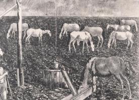 Gacs Gábor (1930-2019): Lovak a pusztán. Rézkarc, papír, jelzett, művészpéldány E.A. jelzéssel, pasz...
