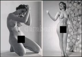 cca 1959 előtt készült, műtermi aktok, szolidan erotikus felvételek, 2 db modern nagyítás, jelzés nélkül, 21x15 cm