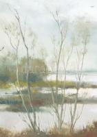 Gádor Emil (1911-1998): Mocsár madarakkal. Olaj, farost, jelezve jobbra lent. Dekoratív, sérült fake...