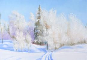 Láta László (1938-): Szánkónyom. Olaj, farost, jelzett. Fakeretben, 60x50 cm