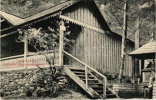 1914 Radnaborberek, Borberek-fürdő, Valea Vinului; Széchenyi-forrás / mineral spring source