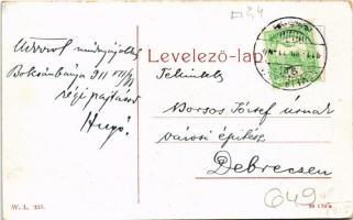 1911 Boksánbánya, Németbogsán, Deutsch-Bogsan, Bocsa Montana; A szanatórium kert részlete. W.L. 123....