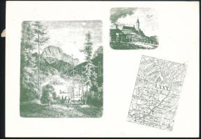 1992 Képeslap Erdélyből a Sikaszó panzióból küldve román és magánposta bélyegekkel