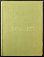 Deutsches Reich területek és megszállások összeállítás 8 lapos közepes berakóban + 1 stecklapon