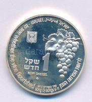 Izrael 1996. 1Sh Ag "Róka és Szőlőbirtok" kapszulában T:UNC kis patina Israel 1996. 1 Sheqel Ag "Fox and Vineyard" in capsule C:UNC small patina Krause KM#274