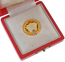 1960-1980 k. "Kiváló Népi Ellenőr" műgyantás, aranyozott kitüntető jelvény, miniatűrrel, eredeti tokban (25mm) T:AU