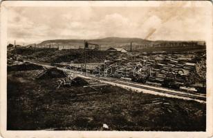 Tatabánya, Fatelep, fűrésztelep, iparvasút. Magyar Általános Kőszénbánya Részvénytársulat tatai bányászata (fl)
