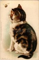 Macska és méhecske / Cat watching a bee. Wezel &amp; Naumann Serie 68. litho (fl)