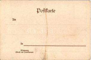 Macska és méhecske / Cat watching a bee. Wezel &amp; Naumann Serie 68. litho (fl)