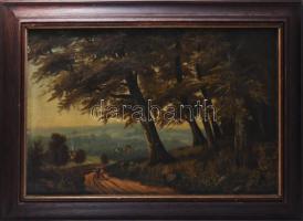 C. Schleichhandt jelzéssel, XIX. sz. második fele: Hazafelé. Olaj, vászon. Javított. Kissé sérült. Fakeretben, 52x78 cm