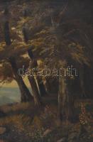 C. Schleichhandt jelzéssel, XIX. sz. második fele: Hazafelé. Olaj, vászon. Javított. Kissé sérült. F...