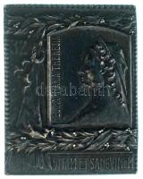 1916. Osztrák-Magyar Monarchia "32. Mária Terézia Gyalogezred" ezüstözött Zn sapkajelvény, függőleges tűvel és "Mészáros Gy" gyártói jelzéssel (40x32mm) T:AU Austro-Hungarian Monarchy 1916. "REGINA MARIA THERESIA VITAM ET SANGVINEM 1741-1916" 32nd Maria Theresia Infanterie Regiment's silver plated Zn cap badge with vertical pin and with "Mészáros Gy" maker's mark (40x32mm) C:AU