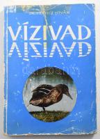 Sterbetz István: Vízivad. A szerző, Sterbetz István (1924-2012) orintológus által DEDIKÁLT példány. Bp.,1972, Mezőgazdasági Kiadó, 204+4 p. Szövegközti fekete-fehér fotókkal, és ábrákkal, és egészoldalas fekete-fehér és színes képekkel, illusztrációkkal illusztrált. Kiadói papírkötés, szakadt, javított papírborítóban.