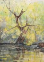 Gál Gabi (XX. sz. vége): Rátóti híd. Akvarell, papír. Jelezve balra lent. Fakeretben. 33x47 cm