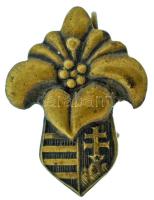 1930 k. árvalányhaj takarású címeres bronz női cserkész jelvény (23x17mm) T:AU