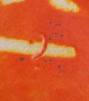 Tófej kerámia váza, m: 22 cm