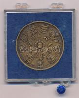 Csucs Viktória (1934-1993) 1979. "Magyar Éremgyűjtők Egyesülete 1969-1979" kétoldalas bronz emlékérem eredeti, plombált "ÁPV" műanyag tokban (42,5mm) T:UNC