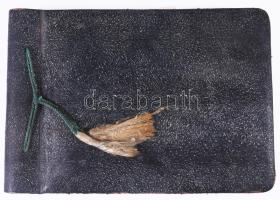 1935 Látogatás a náci Németországban. Magyar mérnök utazásán készített fotóalbum, Az elején korabeli horogkeresztes zászlóval 27 cm valamint 130 fotóval közötte sok érdekesség, állomás, szélmalom, Bayer művek, katonazenekar, náci épületek.