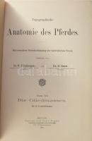 Ellenberger, [Wilhelm] - Baum, [Hermann Alois]: Topographische Anatomie des Pferdes. Mit besonderer Berücksichtigung der tierärztlichen Praxis. Erster Teil. Die Gliedmassen. Berlin, 1893, Paul Parey, XIX+[1]+280+[4] p. Szövegközti illusztrációkkal. Német nyelven. Egészvászon-kötésben, nagyrészt jó állapotban.