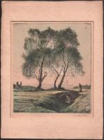 Kaveczky Zoltán (1897-1965): Hazaefelé (cím nélkül). Színezett rézkarc, papír, jelzett, paszpartuban, 19,5×17 cm