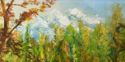 Jobbágy Dezső (-): Táj. Olaj, farost, jelzett, fakeretben, 60x80 cm