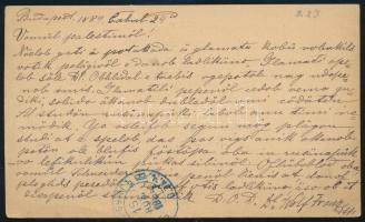 1889 5kr díjjegyes levelezőlap "BUDAPEST VIZIVÁROS I.SZ." - Szentpétervár (kiállítási minő...