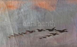 Pálfy József (1864-1934): Vadlibák a tenger felett, 1918. Olaj, vászon. Jelzett. Restaurált. Dekorat...