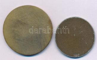 Göröntsér Greff Lajos (1888-1976) 1907. "Magyar Úszó Szövetség" egyoldalas bronzozott Al e...