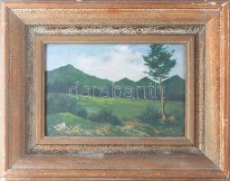 Ondrusek/Ondrussek, Frantisek (1861-1932): Táj. Olaj, karton. Jelzett. Dekoratív, kissé sérült faker...