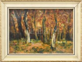 Déri jelzéssel: Erdőbelső. Olaj, farost, fakeretben, 13x17,5 cm