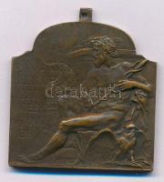 Vastagh György Ifj. (1868-1946) 1909. "XVI. Nemzetközi Orvos Kongresszus - Budapest" kétoldalas bronz plakett füllel. "MCMIX BUDAPESTINI / CONVENTUS MEDICORUM XVI INTERNATIONALIS" (44x40mm) T:XF