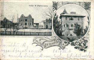 Campina with the G. Stefanescu house and the Villa Gheorgiu (EB)