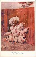 The Way of an Eagle, puppies, dogs. The R.P.S. Series Post Cards 1015. s: G. E. Studdy