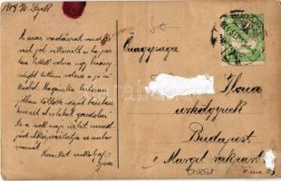 1909 Boy dressed as hunter with Dachshund dogs. photo (gyűrődések / creases)